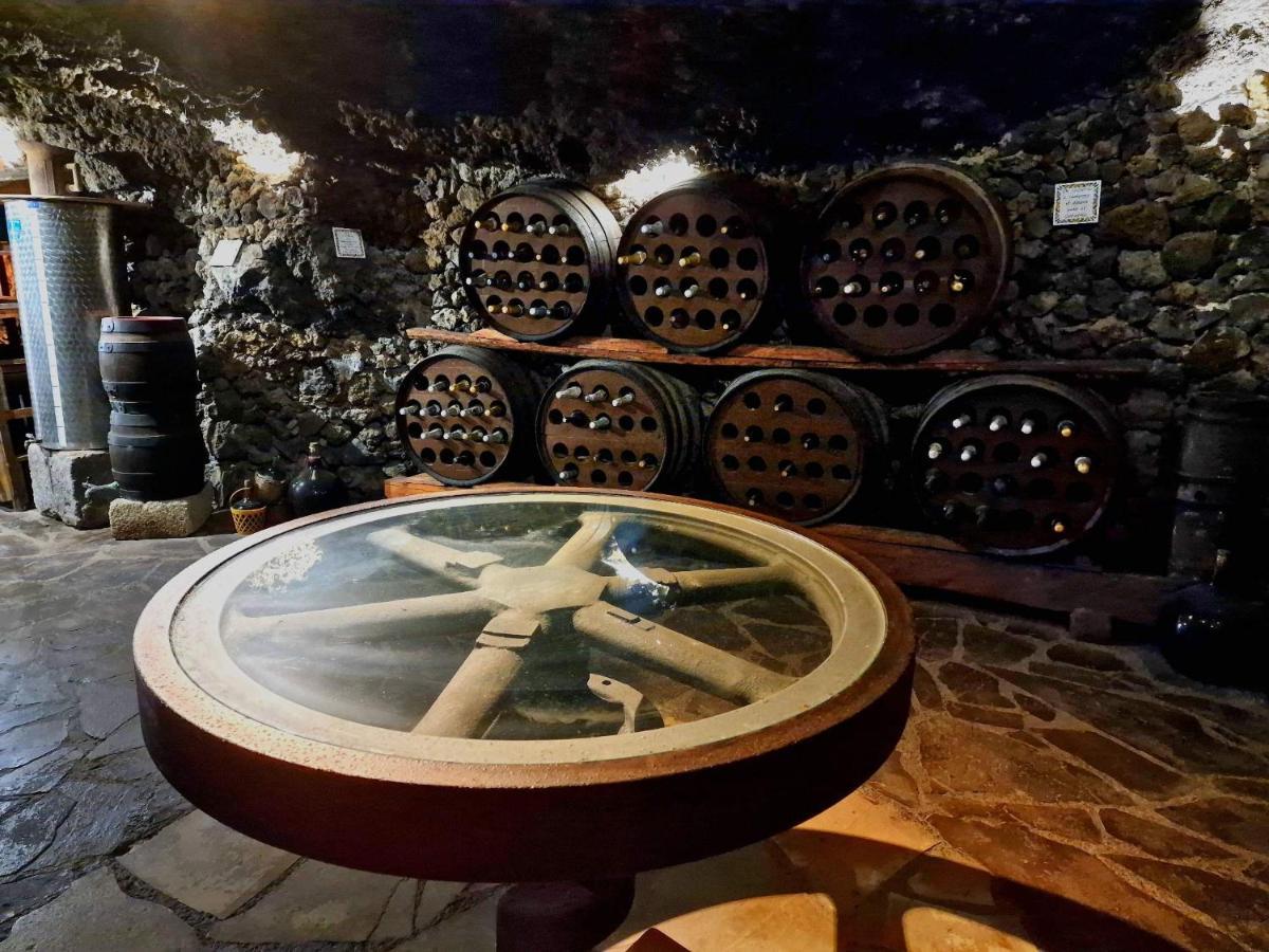 Finca Los Loros Icod De Los Vinos By Hrtenerife Net Santa Cruz de Tenerife Esterno foto